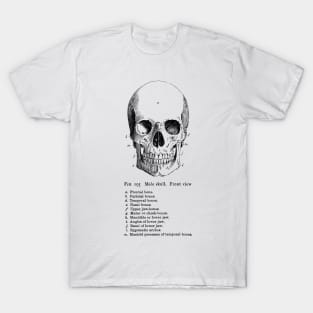 The Anatomy of the Skull in black T-Shirt